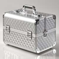 Beauty Case Silver