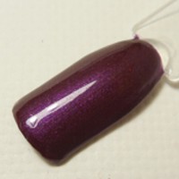 Gel Colorato Precious Purple 7 ml.